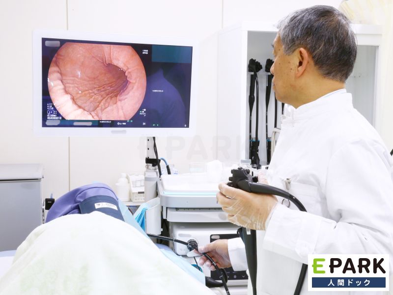 日本消化器内視鏡学会認定 消化器内視鏡専門医が検査いたします。