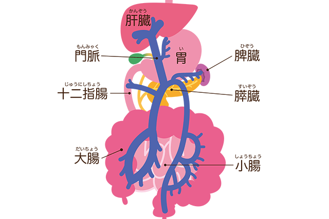 脾臓 痛み